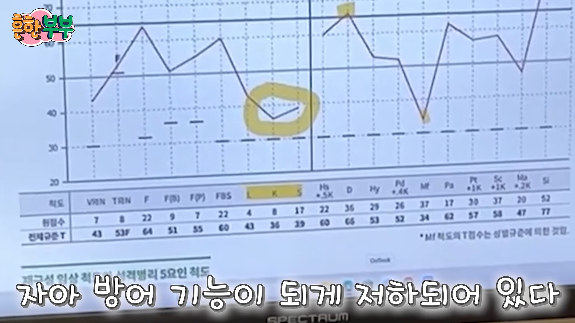 흔또가 희귀병 양성._ 그리고 다운이의 우울증 치료. 9-17 screenshot.png